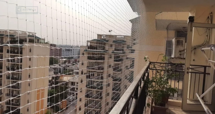 Why Every Society in Pune Needs Professional Bird Netting Services